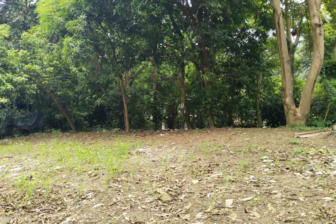Land for Sale in New Alabang Village, Muntinlupa, Metro Manila – photo 5