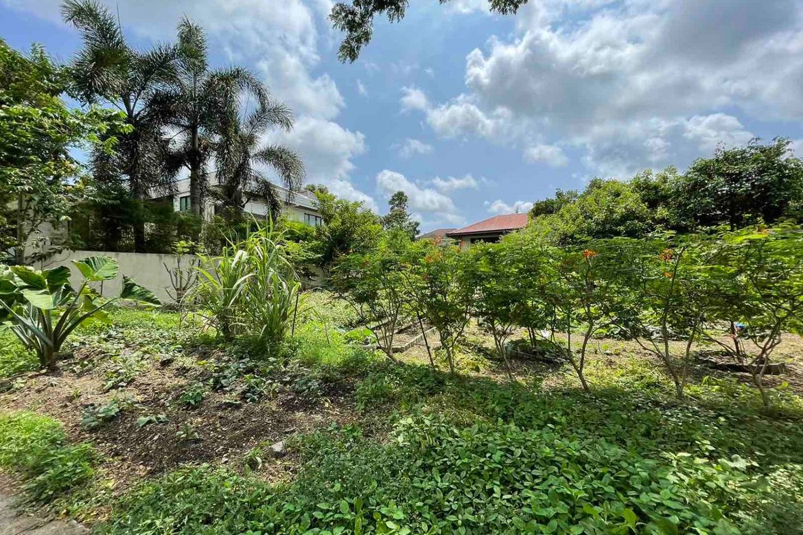 Land for Sale in New Alabang Village, Muntinlupa, Metro Manila – photo 2