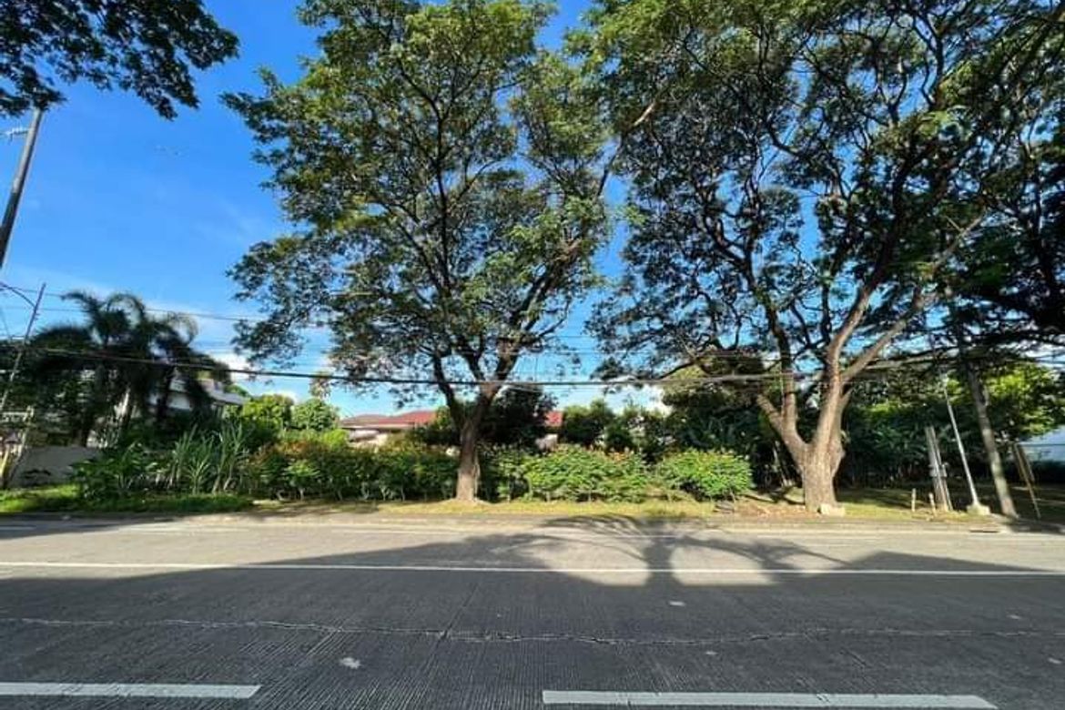 Land for Sale in New Alabang Village, Muntinlupa, Metro Manila – photo 4