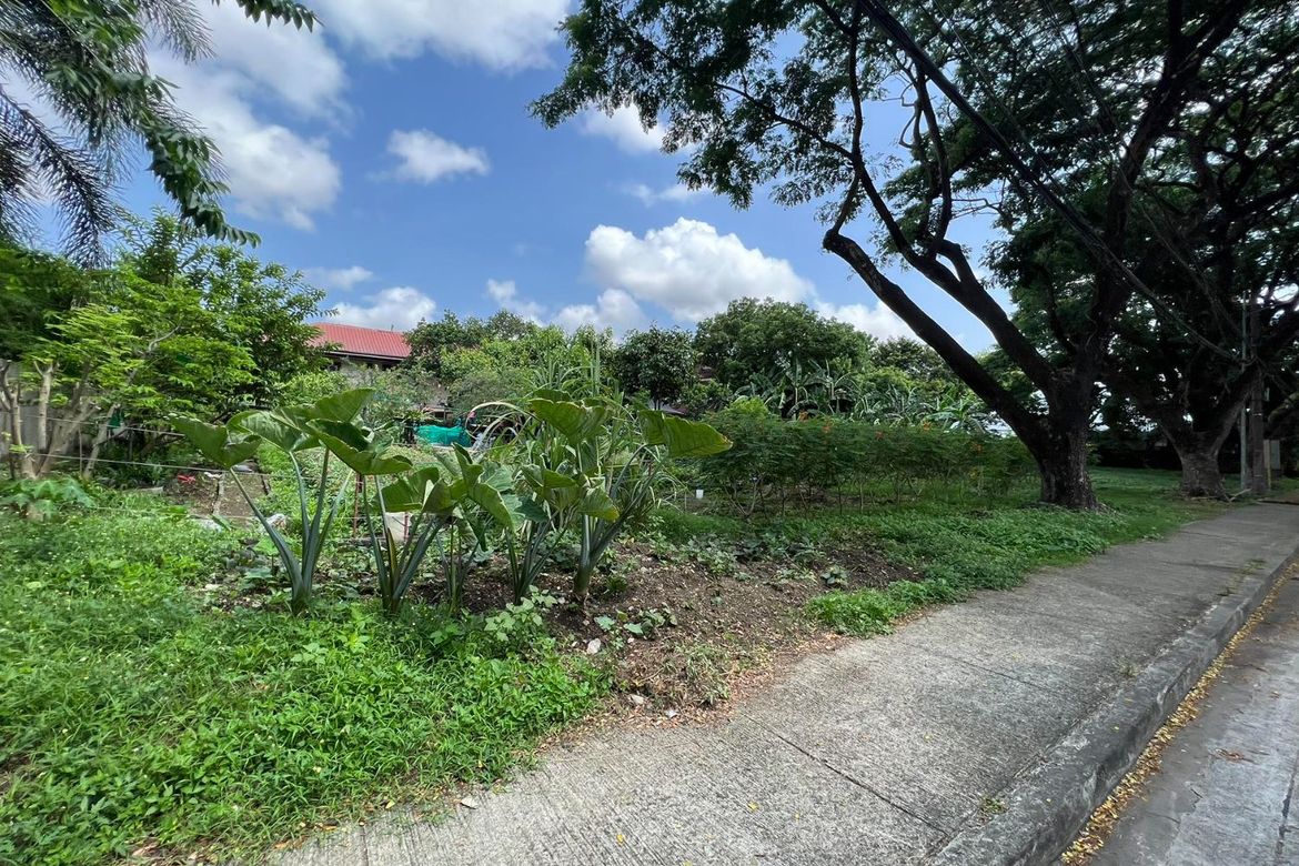 Land for Sale in New Alabang Village, Muntinlupa, Metro Manila – photo 5