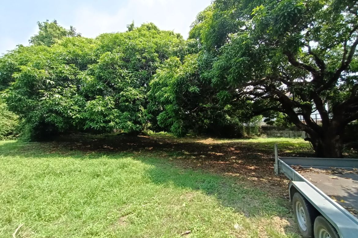 Land for Sale in New Alabang Village, Muntinlupa, Metro Manila – photo 2