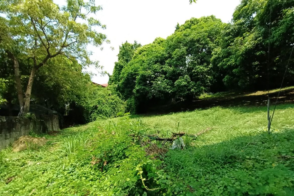 Land for Sale in New Alabang Village, Muntinlupa, Metro Manila – photo 4