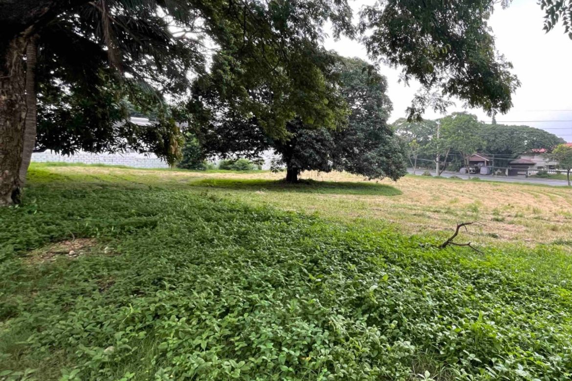 Land for Sale in New Alabang Village, Muntinlupa, Metro Manila