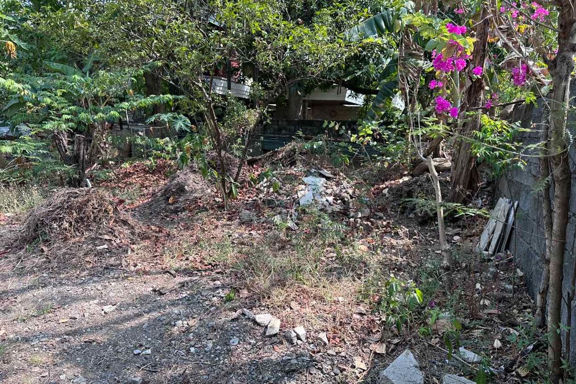 Land for Sale in New Alabang Village, Muntinlupa, Metro Manila – photo 4