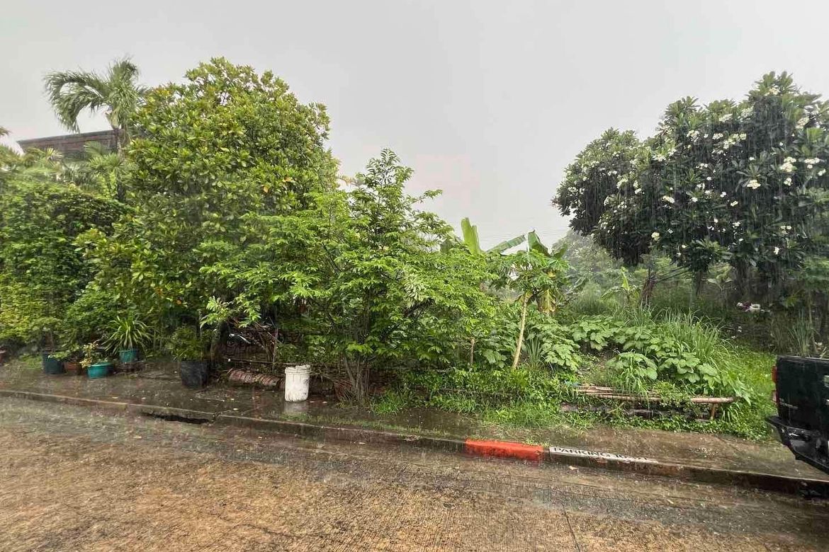Land for Sale in New Alabang Village, Muntinlupa, Metro Manila