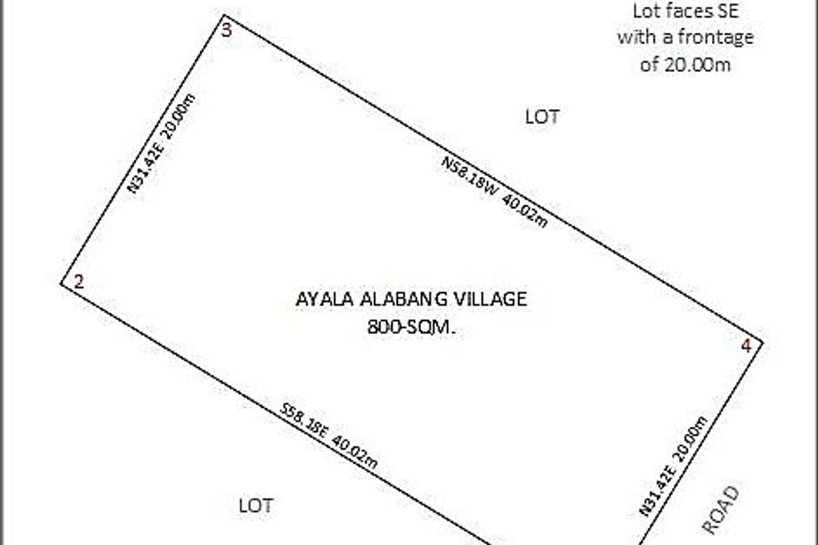 Land for Sale in New Alabang Village, Muntinlupa, Metro Manila – photo 3