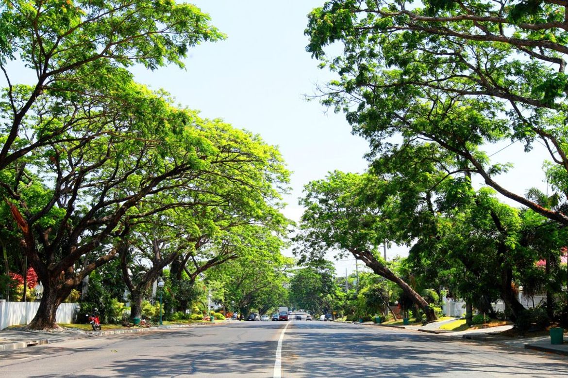 Land for Sale in New Alabang Village, Muntinlupa, Metro Manila – photo 3