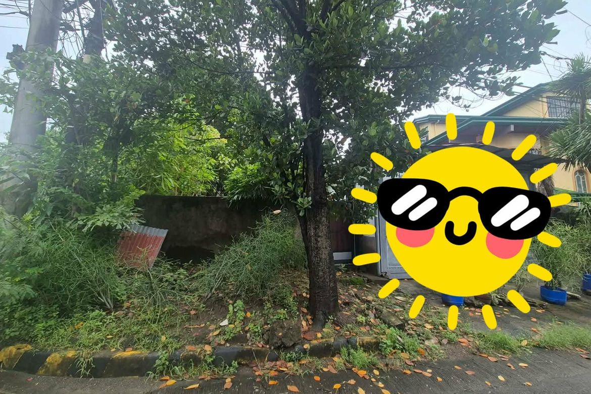 Land for Sale in New Alabang Village, Muntinlupa, Metro Manila