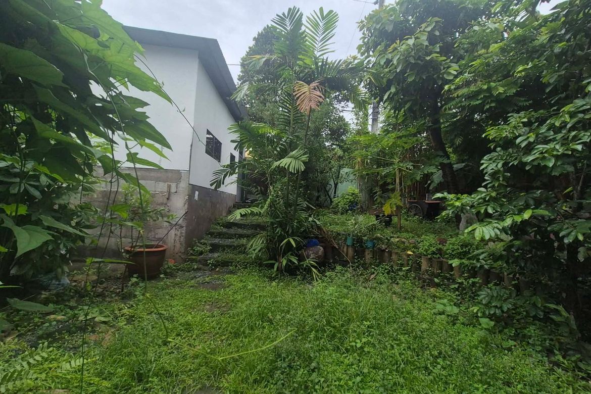 Land for Sale in New Alabang Village, Muntinlupa, Metro Manila – photo 4