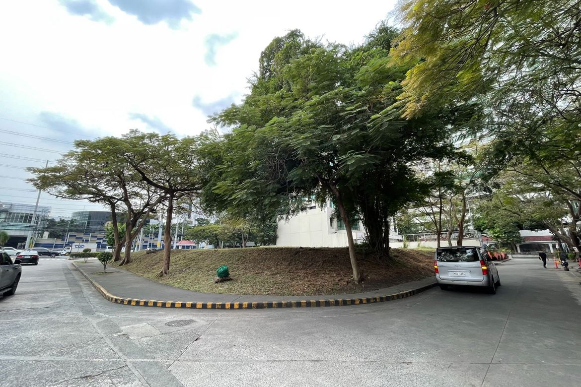 Land for Sale in New Alabang Village, Muntinlupa, Metro Manila