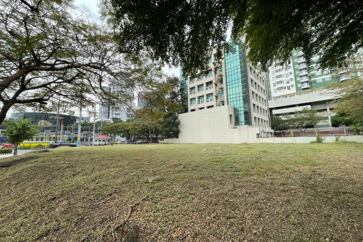 Land for Sale in New Alabang Village, Muntinlupa, Metro Manila – photo 3