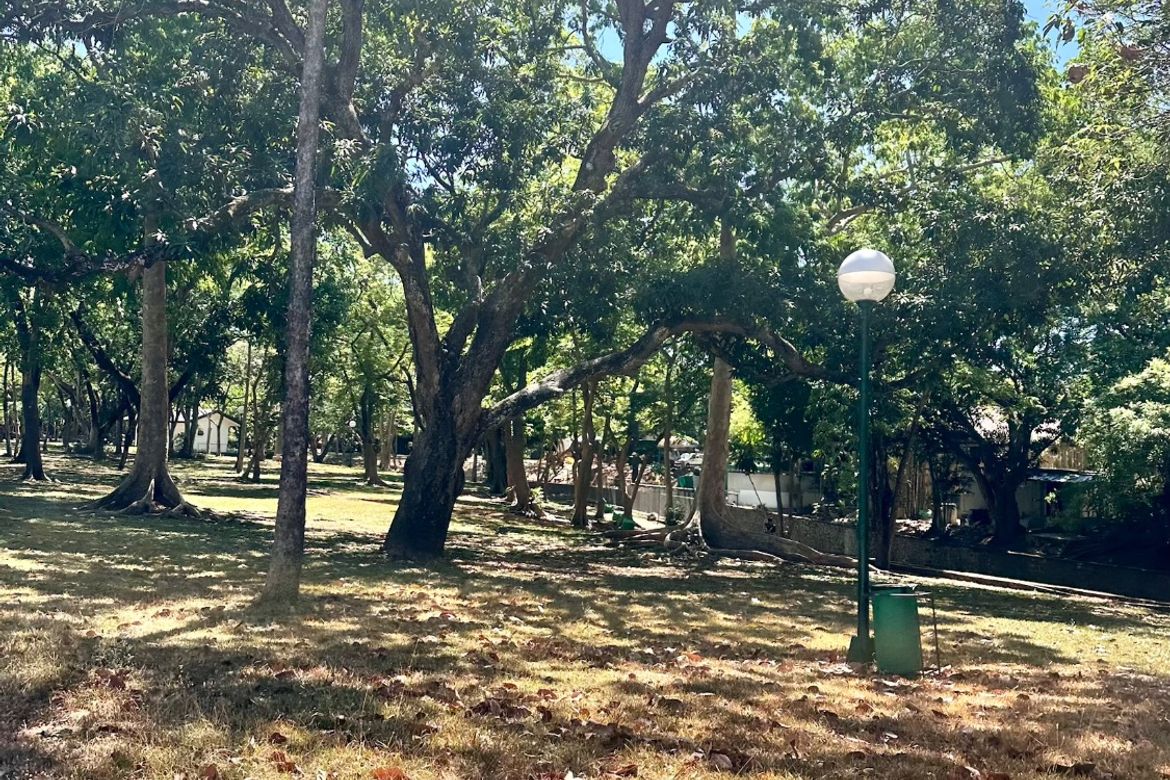 Land for Sale in New Alabang Village, Muntinlupa, Metro Manila – photo 3