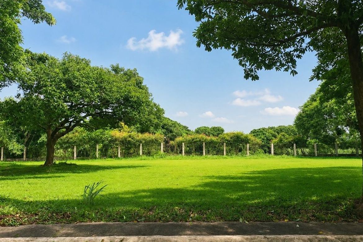 Land for Sale in New Alabang Village, Muntinlupa, Metro Manila