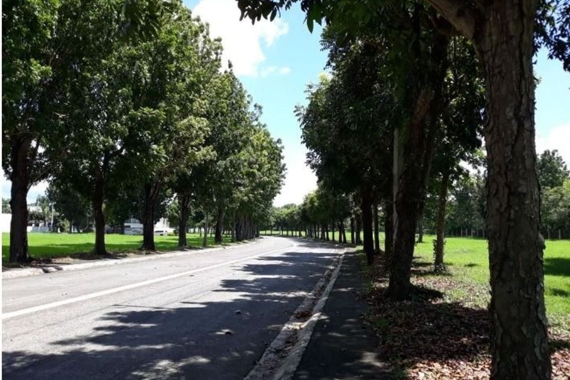 Land for Sale in New Alabang Village, Muntinlupa, Metro Manila – photo 3