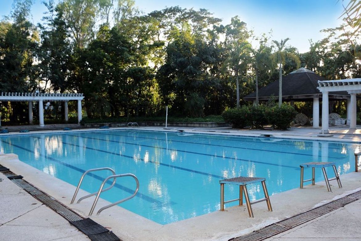 Land for Sale in New Alabang Village, Muntinlupa, Metro Manila – photo 7