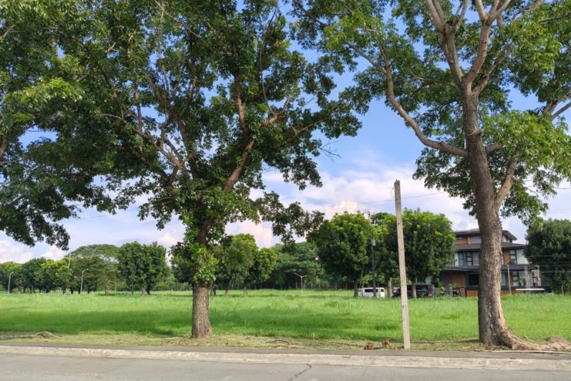 Land for Sale in New Alabang Village, Muntinlupa, Metro Manila – photo 8
