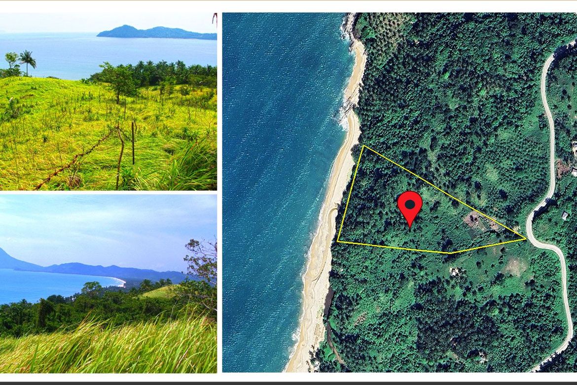 Land for Sale in New Canipo, San Vicente, Palawan