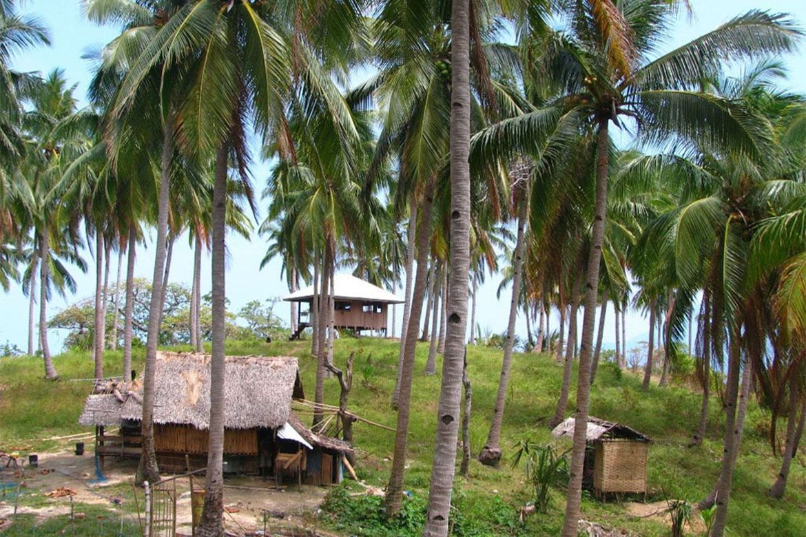 Land for Sale in New Canipo, San Vicente, Palawan – photo 6