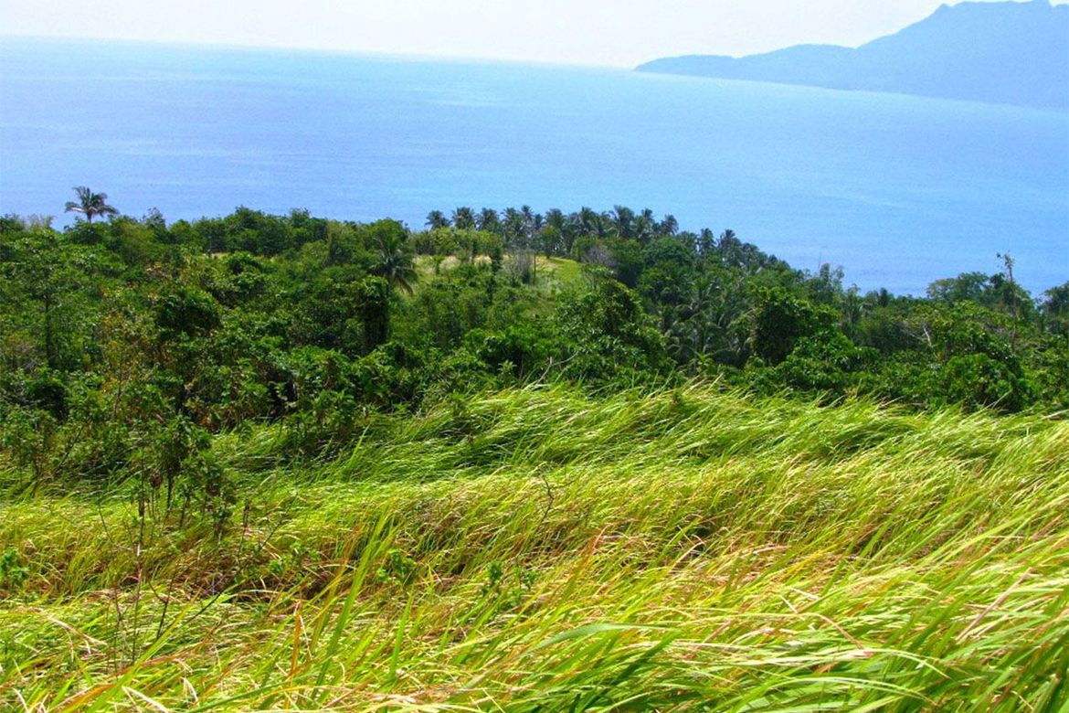 Land for Sale in New Canipo, San Vicente, Palawan – photo 8