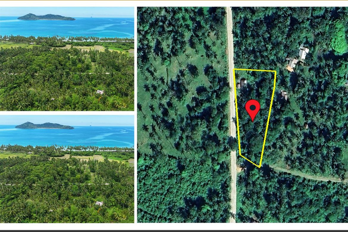 Land for Sale in New Canipo, San Vicente, Palawan