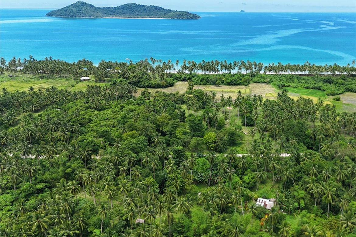 Land for Sale in New Canipo, San Vicente, Palawan – photo 2