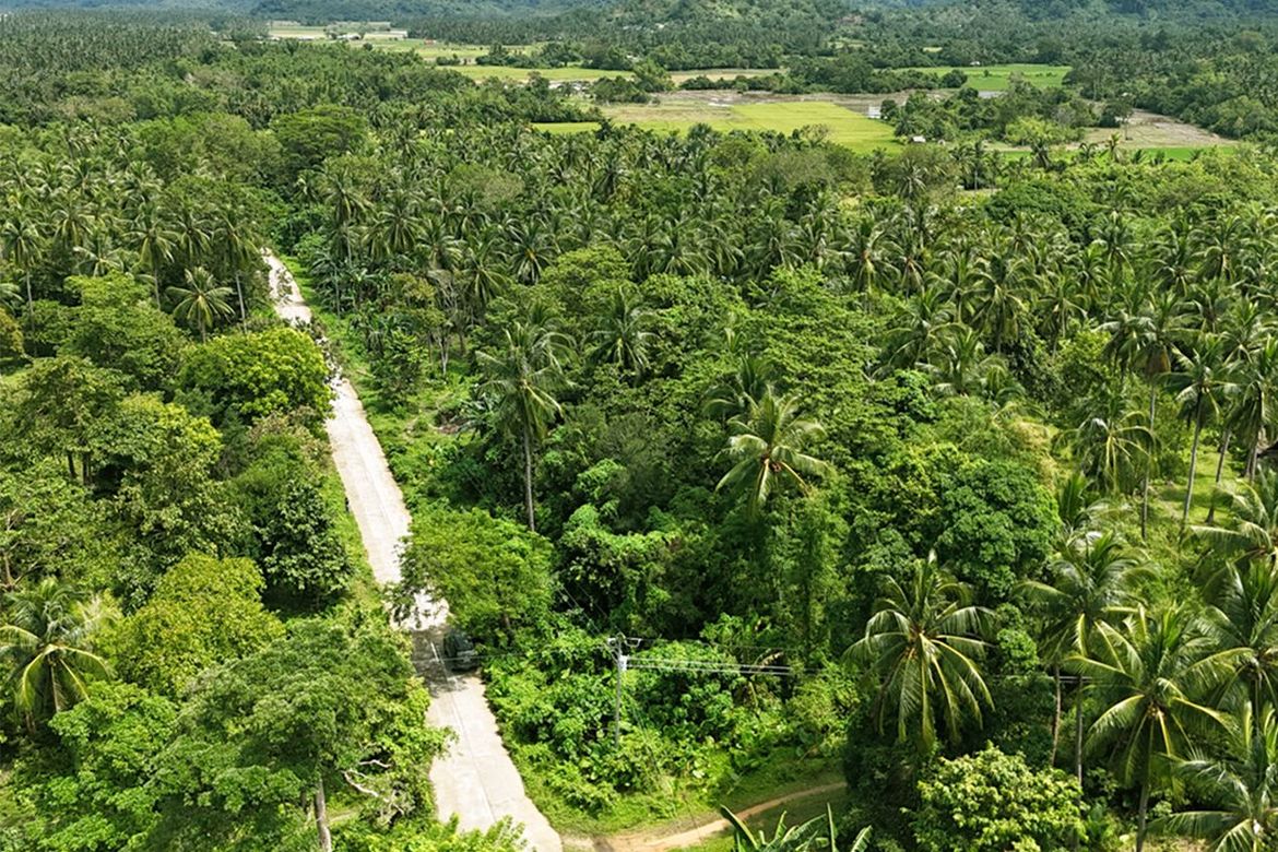 Land for Sale in New Canipo, San Vicente, Palawan – photo 4