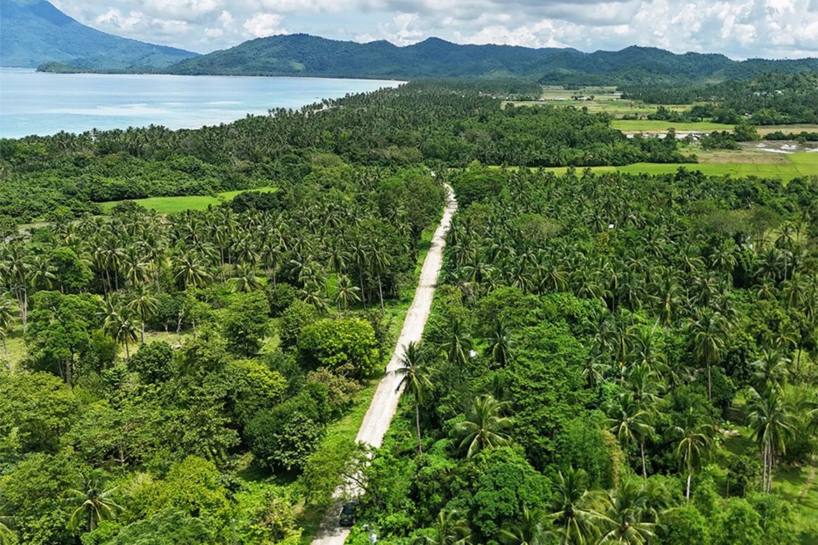 Land for Sale in New Canipo, San Vicente, Palawan – photo 5