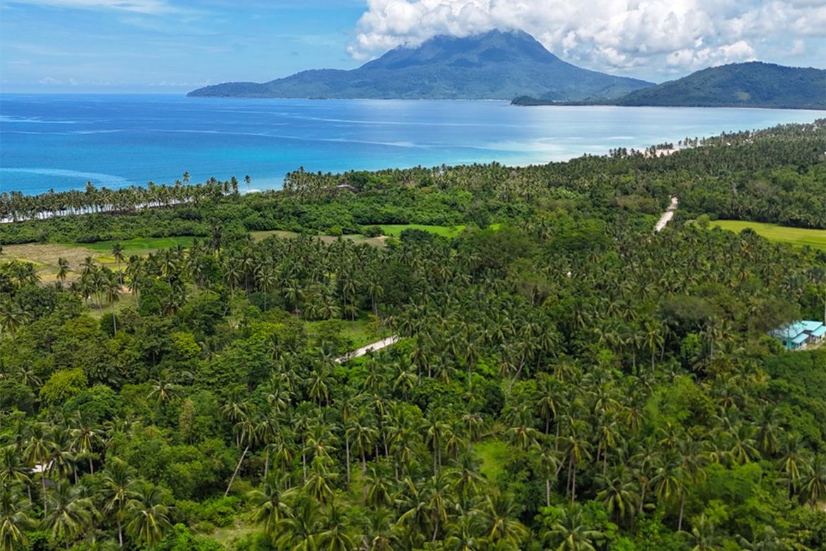 Land for Sale in New Canipo, San Vicente, Palawan – photo 6