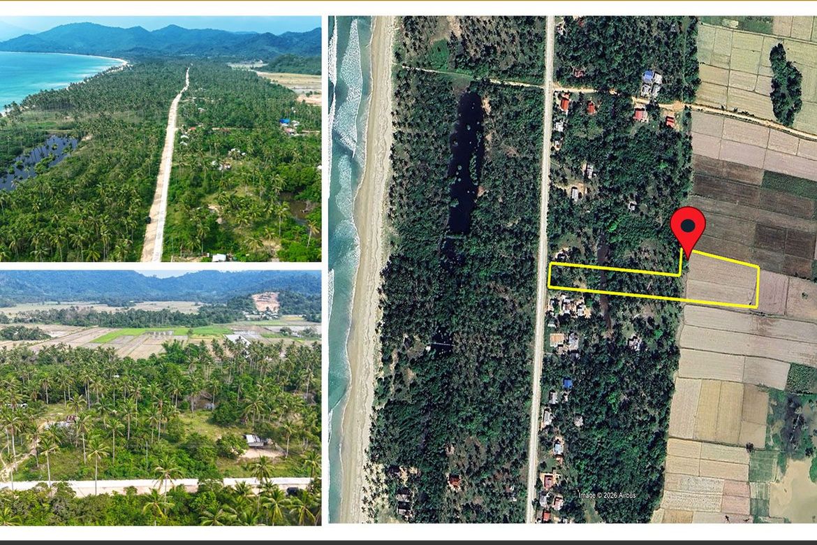 Land for Sale in New Canipo, San Vicente, Palawan