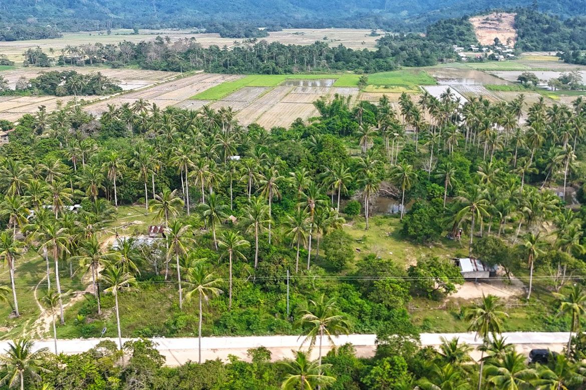 Land for Sale in New Canipo, San Vicente, Palawan – photo 3