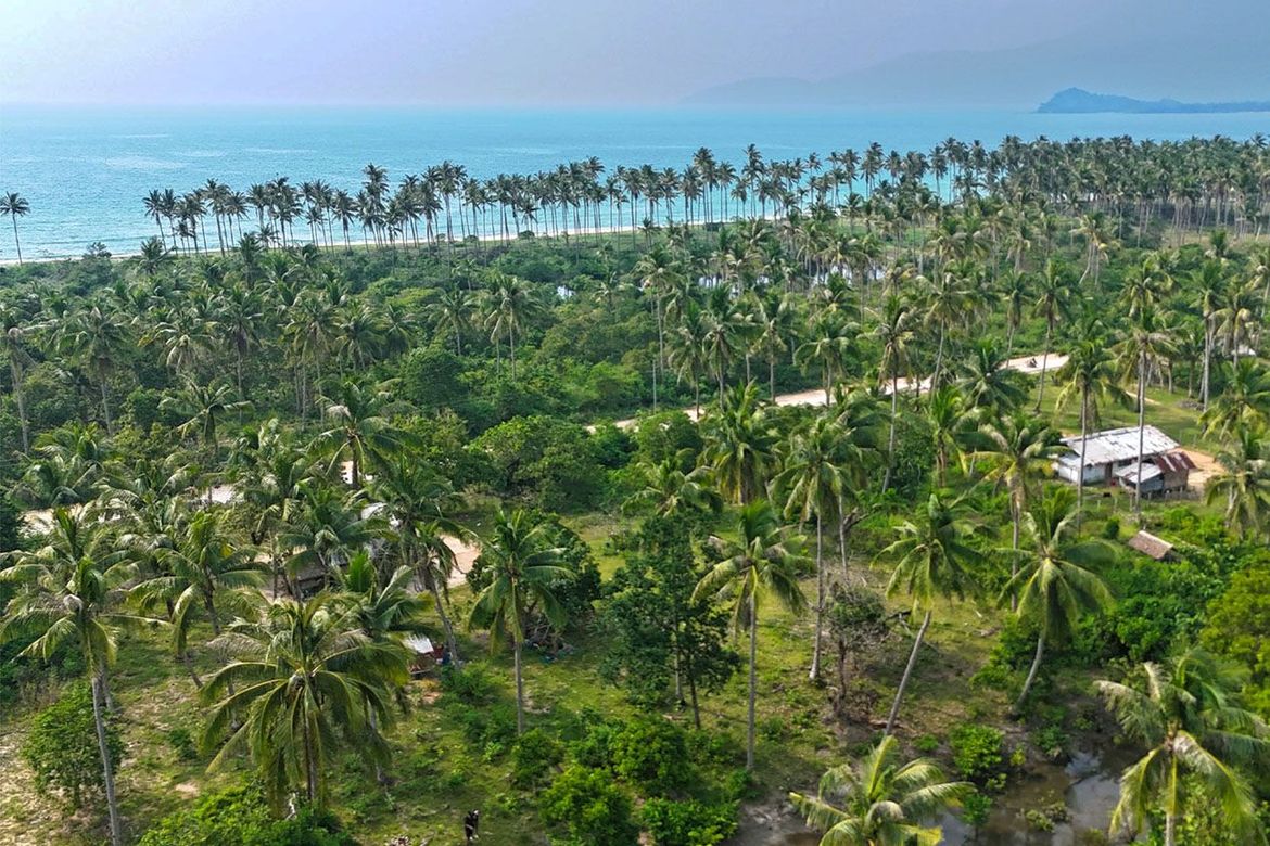 Land for Sale in New Canipo, San Vicente, Palawan – photo 5