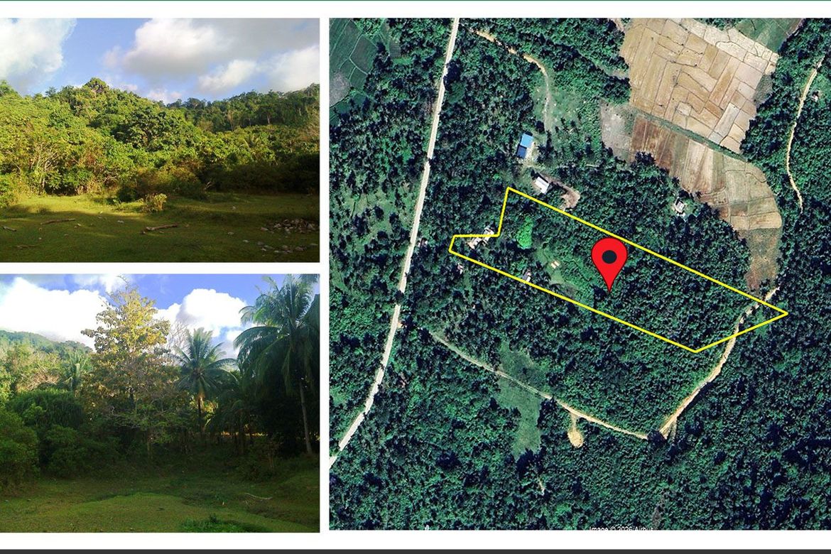 Land for Sale in New Canipo, San Vicente, Palawan