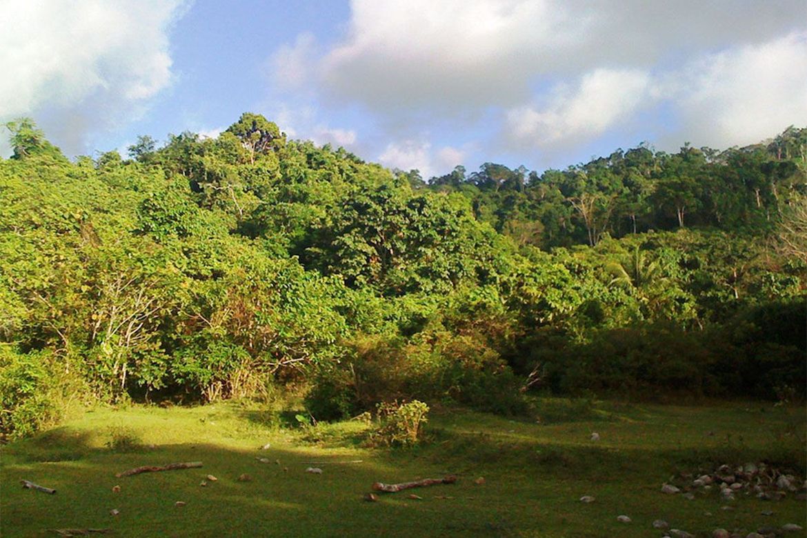 Land for Sale in New Canipo, San Vicente, Palawan – photo 2