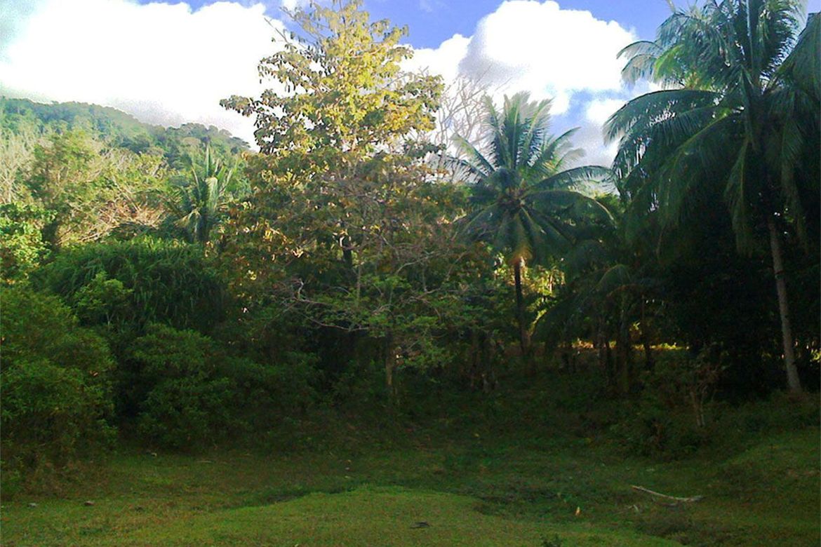 Land for Sale in New Canipo, San Vicente, Palawan – photo 3