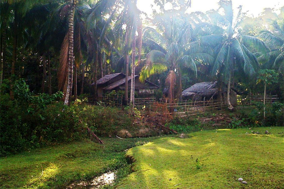 Land for Sale in New Canipo, San Vicente, Palawan – photo 5