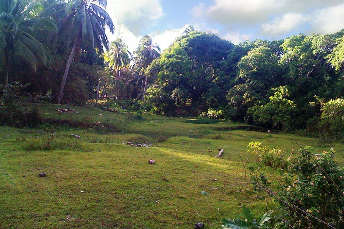 Land for Sale in New Canipo, San Vicente, Palawan – photo 6