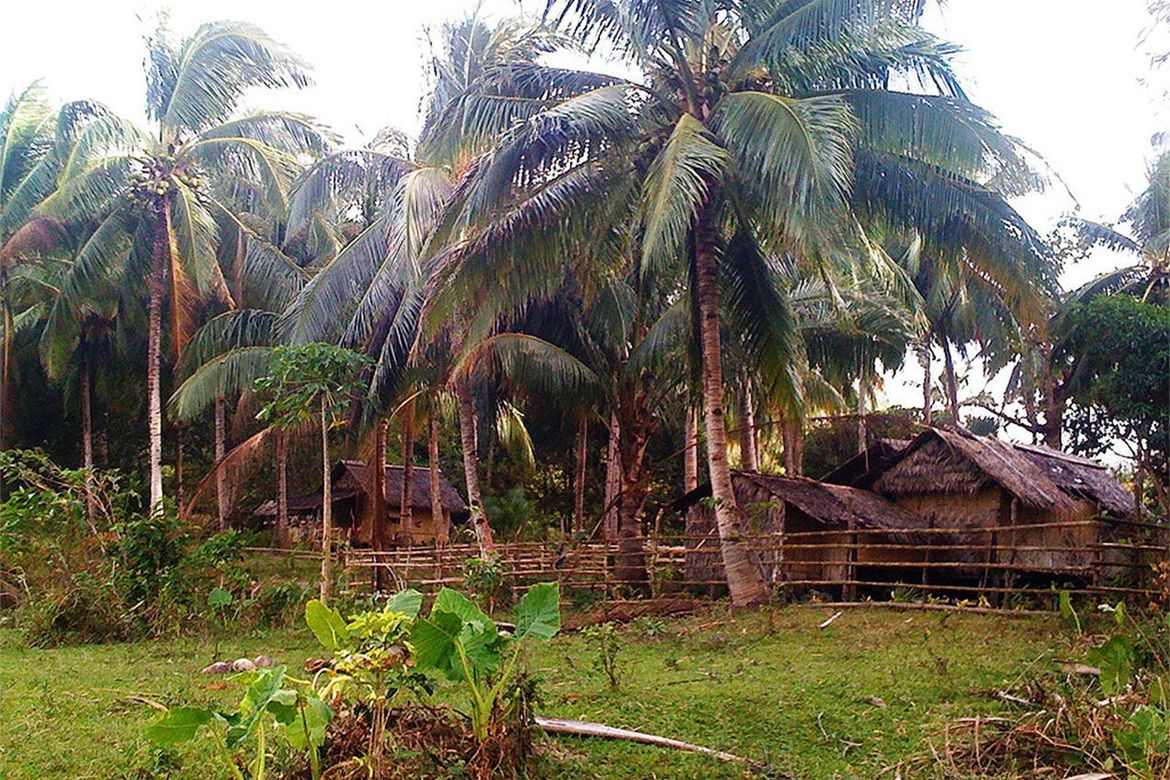 Land for Sale in New Canipo, San Vicente, Palawan – photo 7