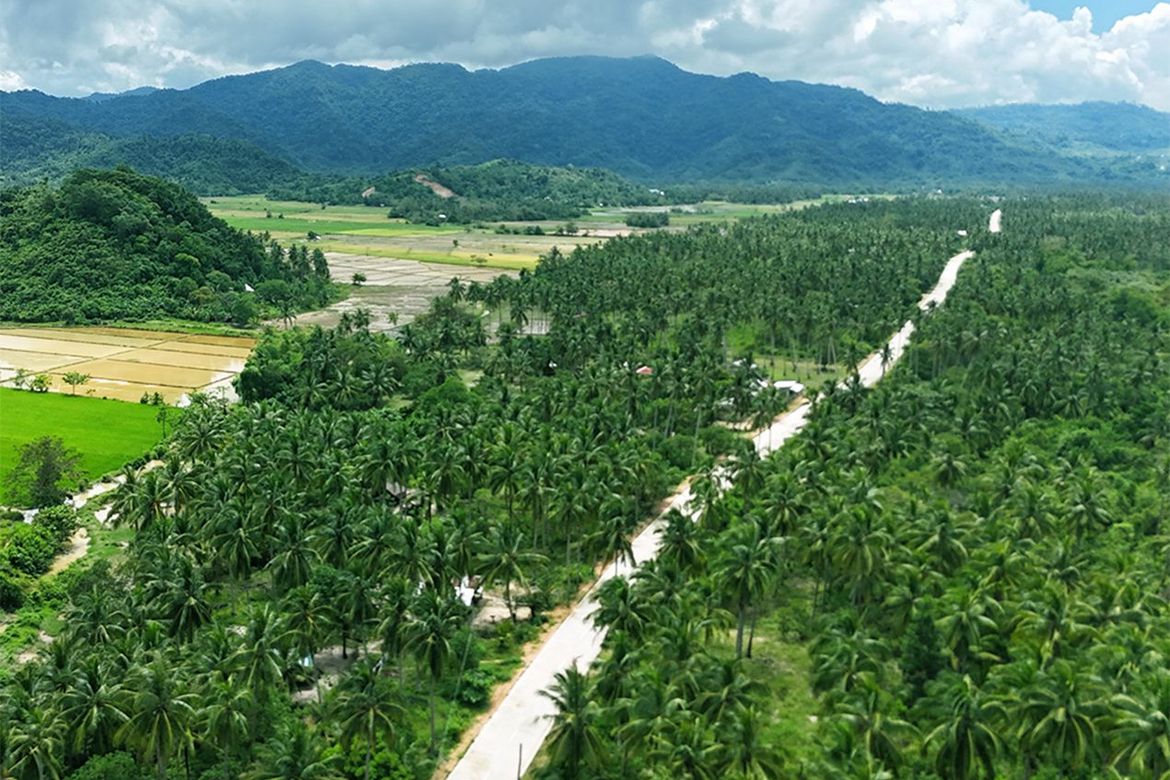 Land for Sale in New Canipo, San Vicente, Palawan – photo 2
