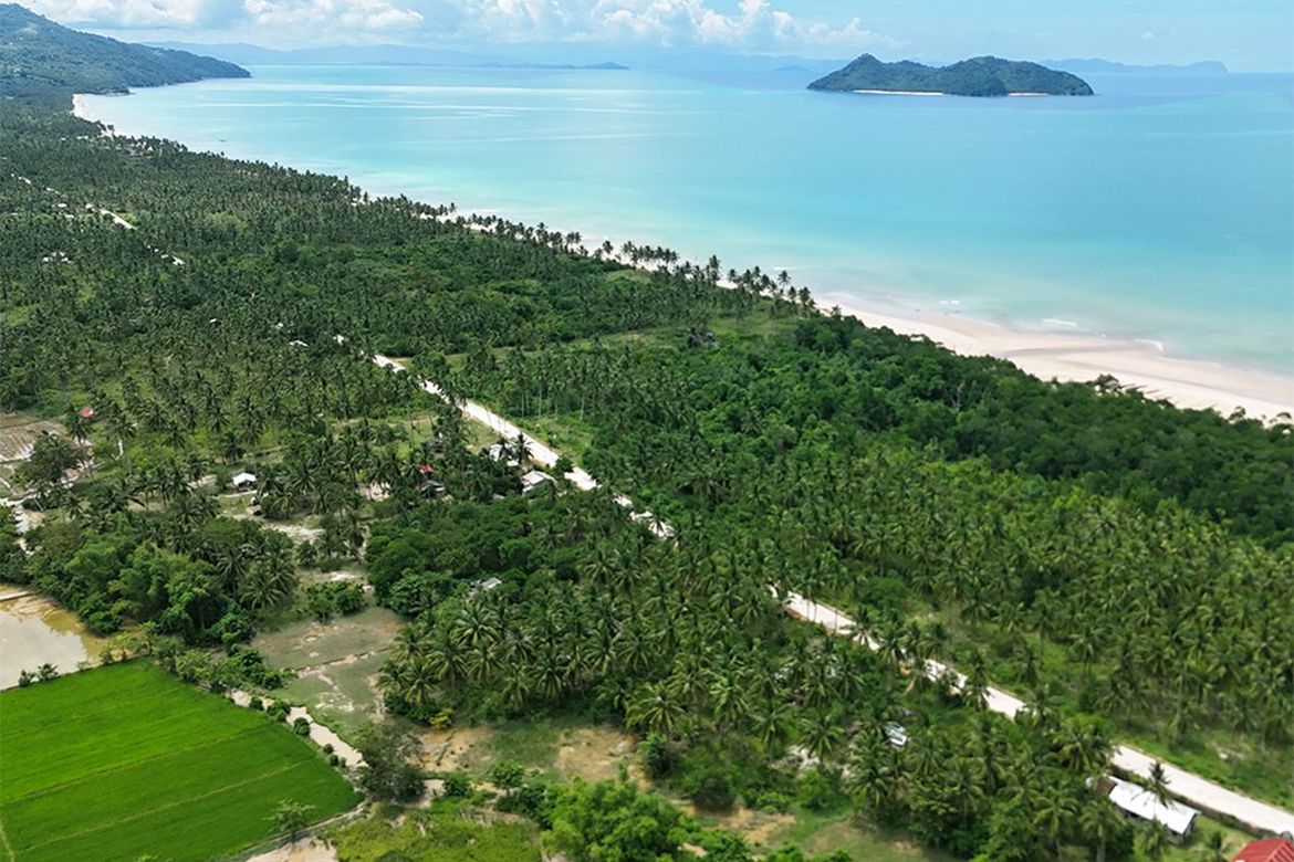Land for Sale in New Canipo, San Vicente, Palawan – photo 3
