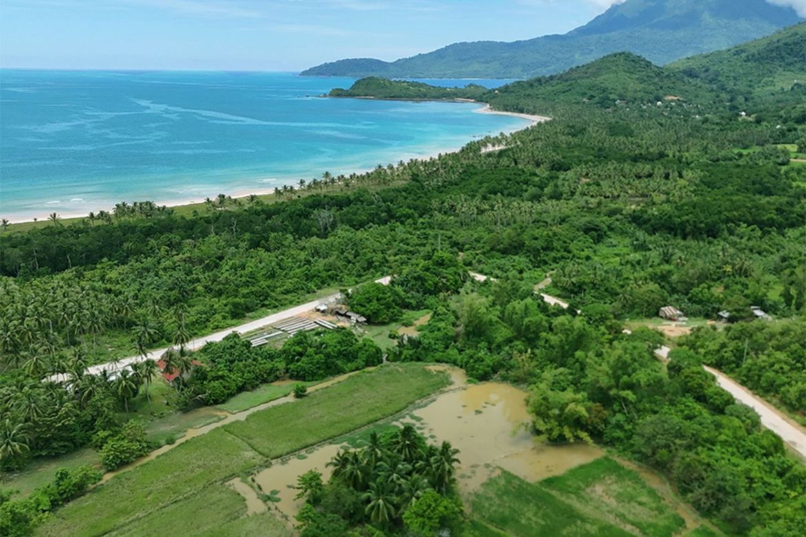 Land for Sale in New Canipo, San Vicente, Palawan – photo 4
