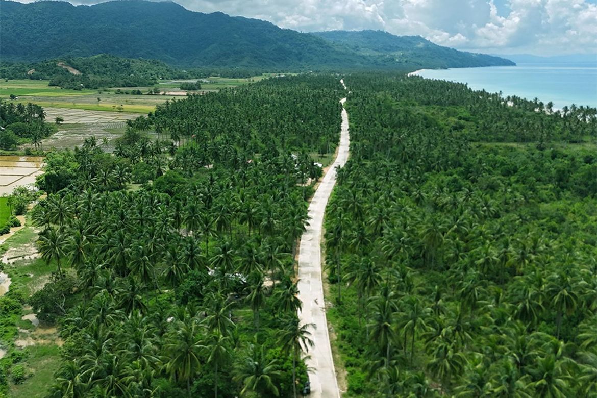 Land for Sale in New Canipo, San Vicente, Palawan – photo 5