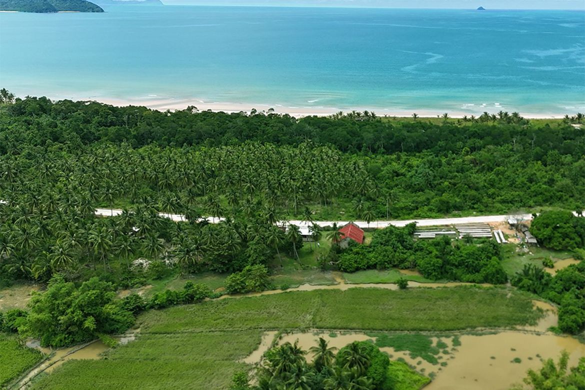 Land for Sale in New Canipo, San Vicente, Palawan – photo 6