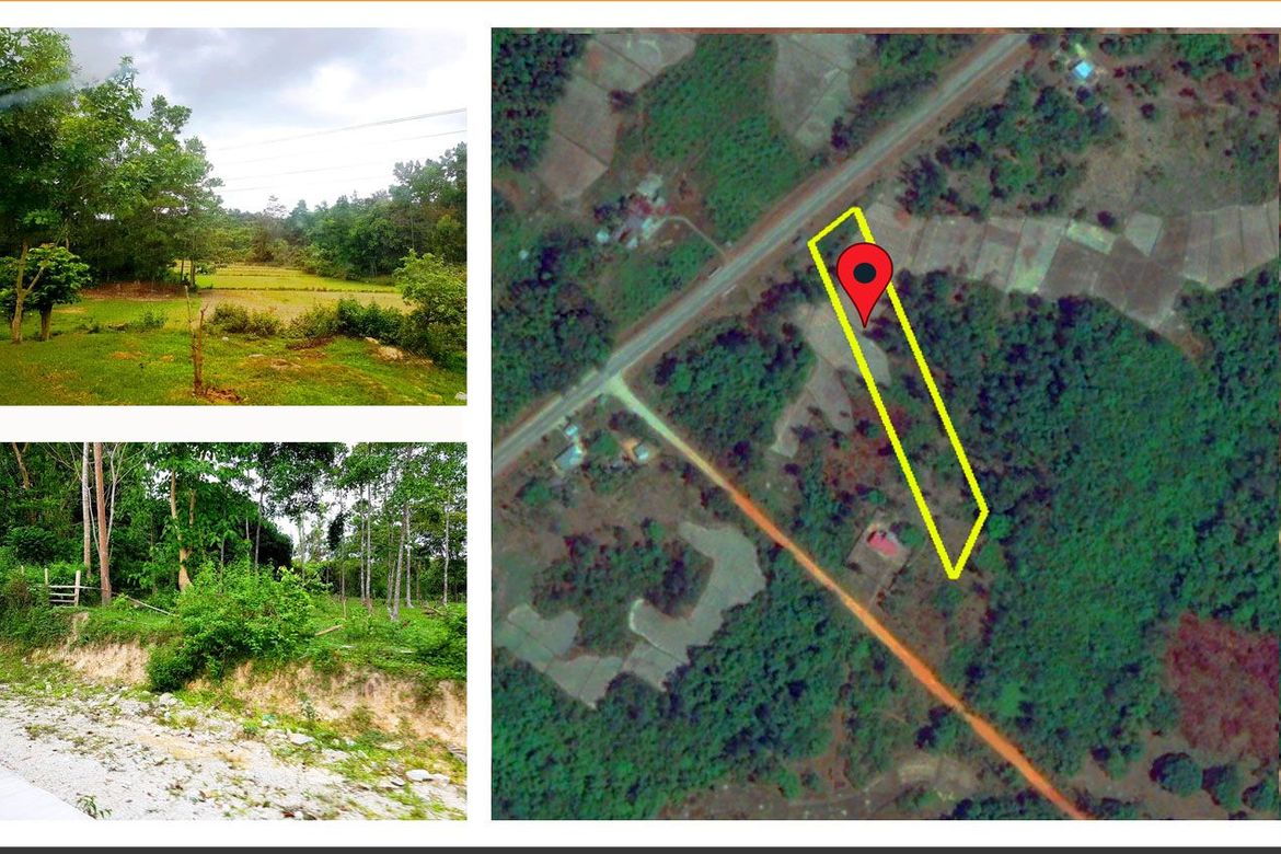 Land for Sale in New Cuyo, Roxas, Palawan