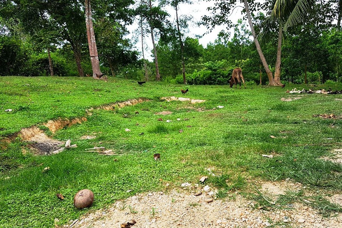 Land for Sale in New Cuyo, Roxas, Palawan – photo 3
