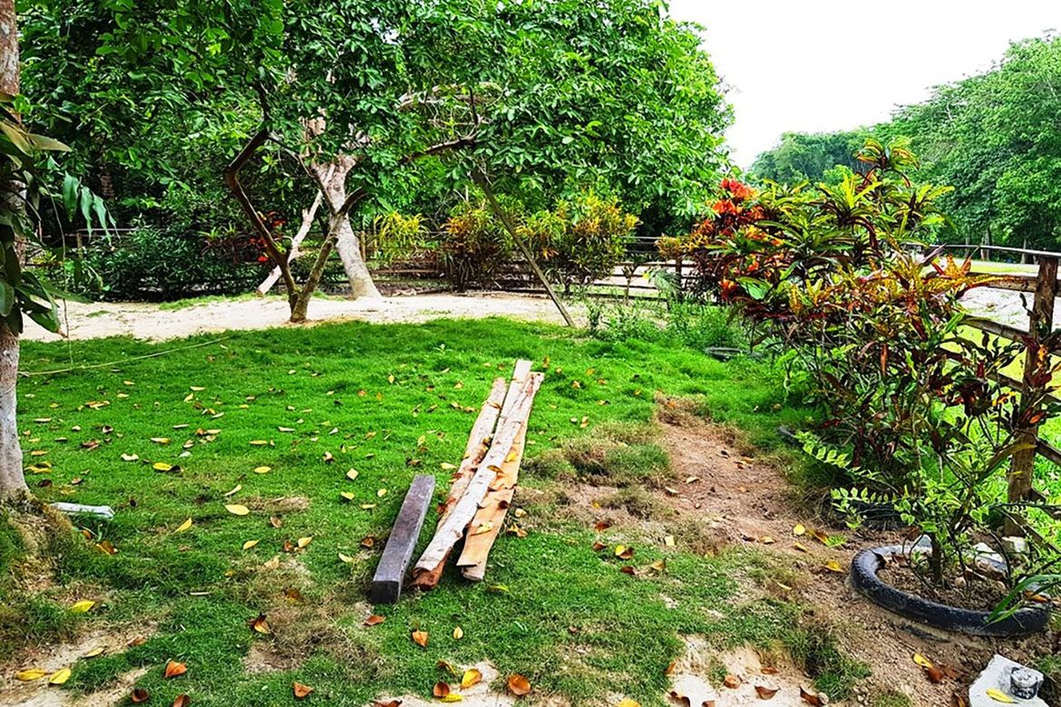 Land for Sale in New Cuyo, Roxas, Palawan – photo 5