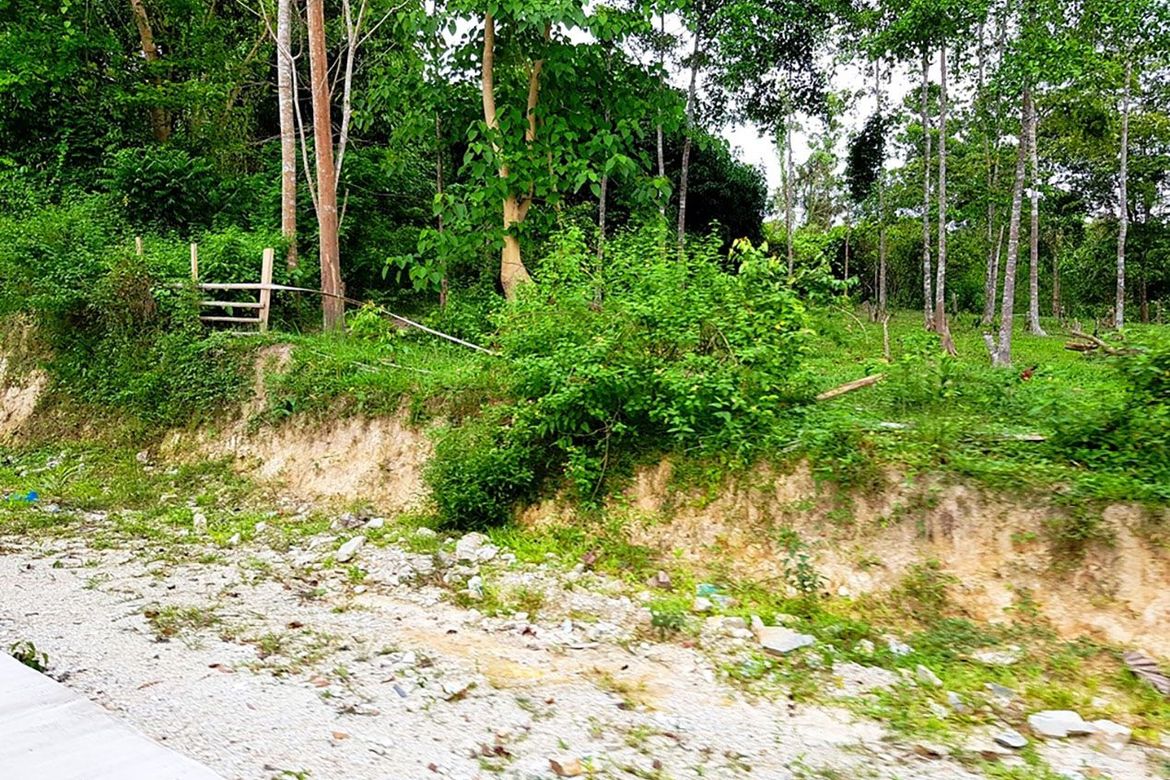 Land for Sale in New Cuyo, Roxas, Palawan – photo 6