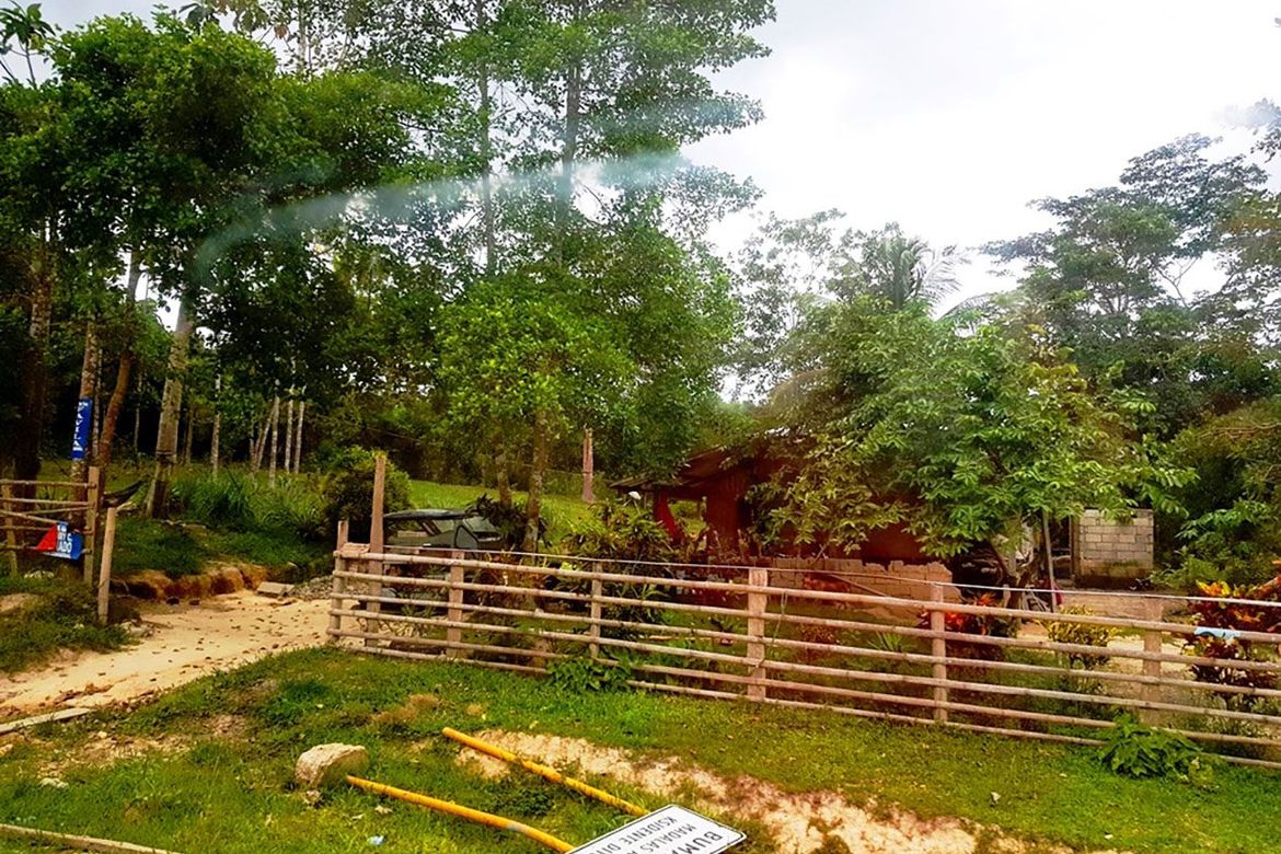 Land for Sale in New Cuyo, Roxas, Palawan – photo 8