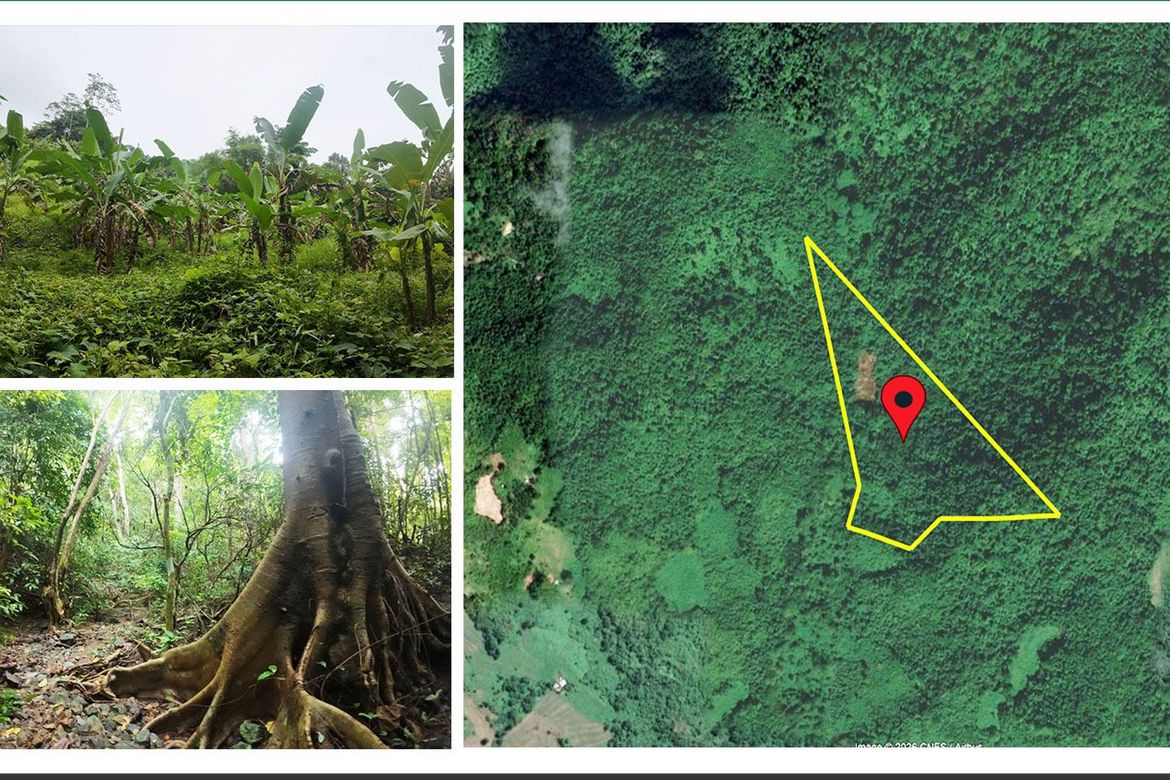 Land for Sale in New Ibajay, El Nido, Palawan