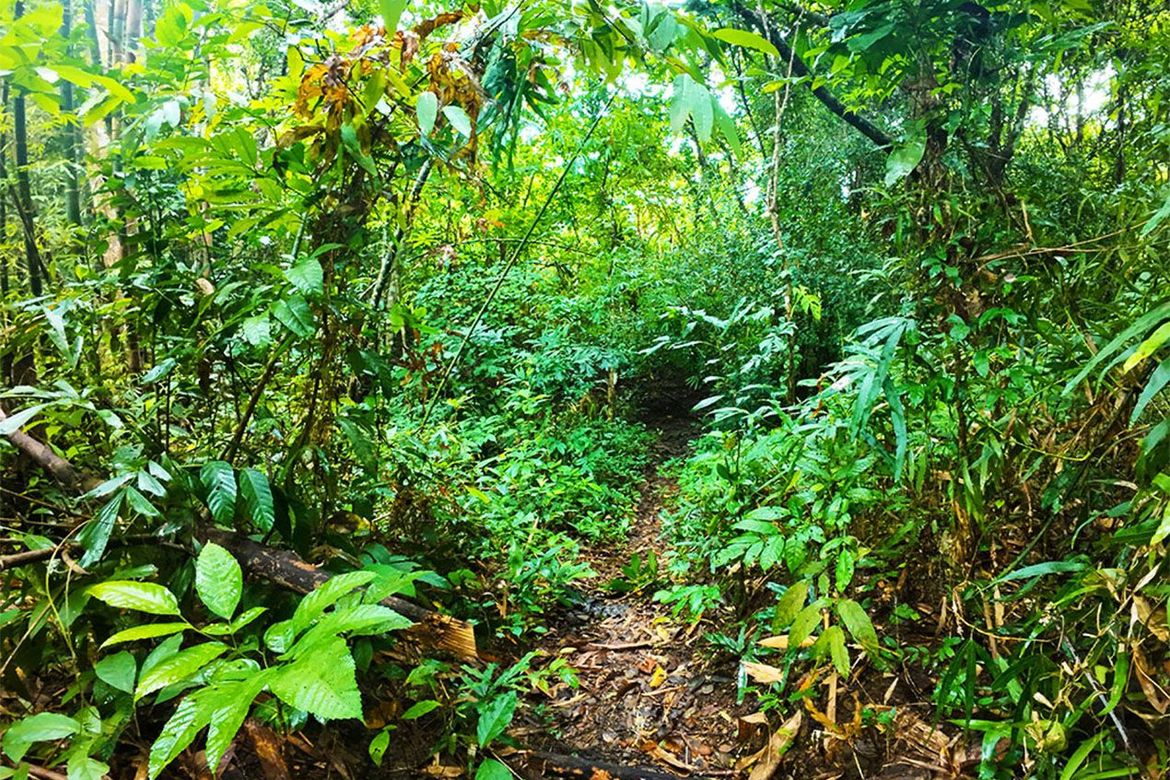 Land for Sale in New Ibajay, El Nido, Palawan – photo 7