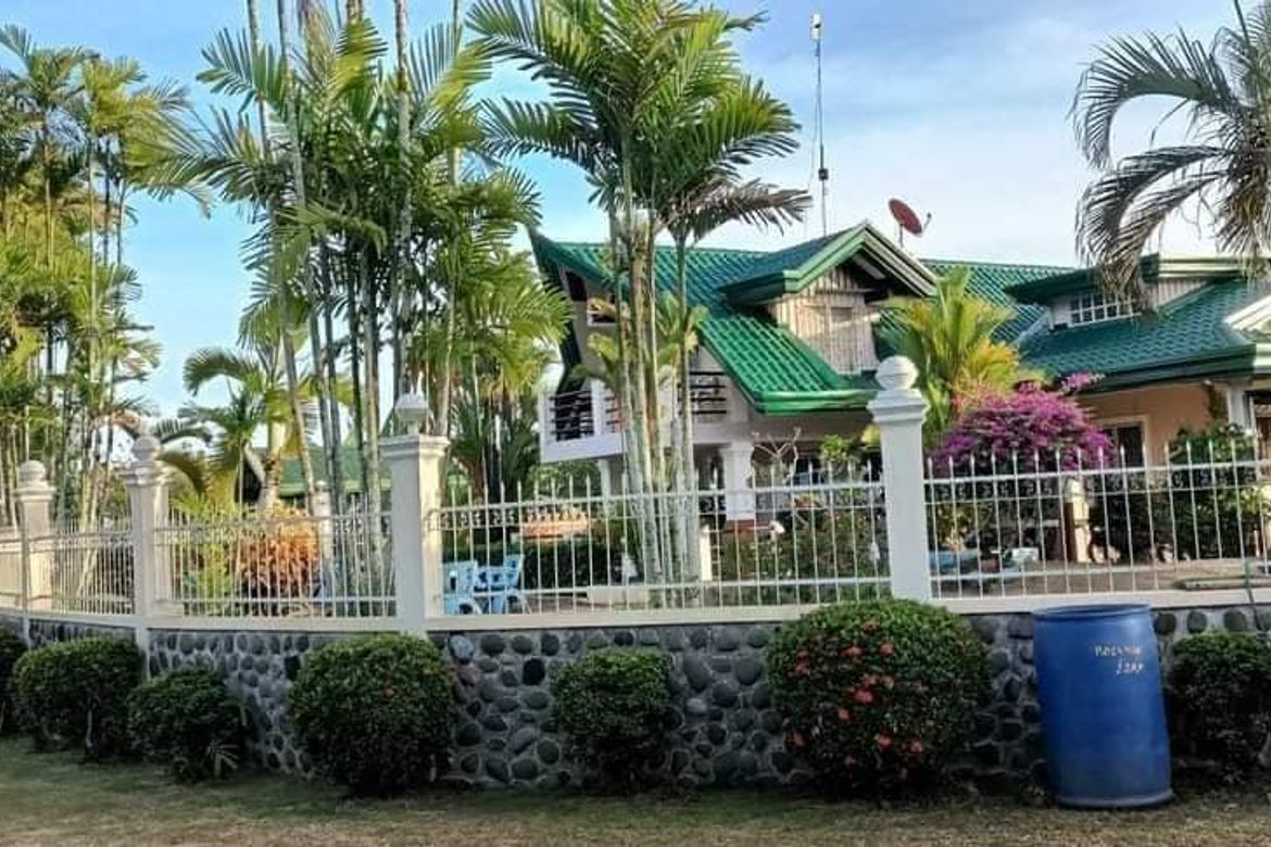 Land for Sale in New Katipunan, Santo Tomas, Davao del Norte – photo 3